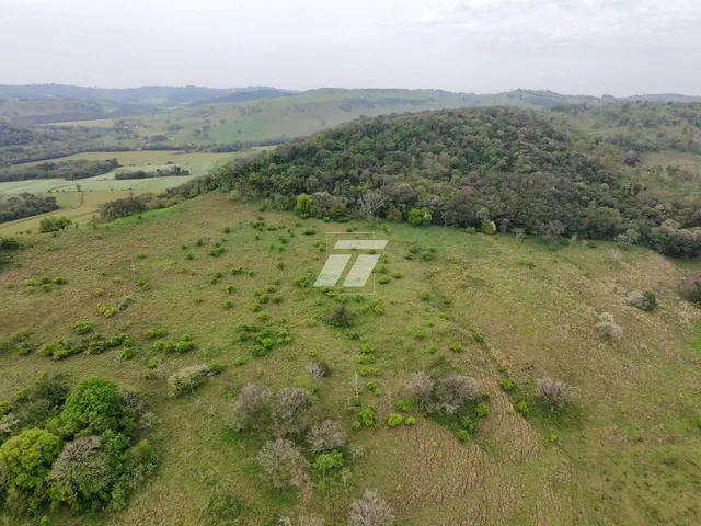 Imagem 15: Área rural de aproximadamente 65 Alqueires