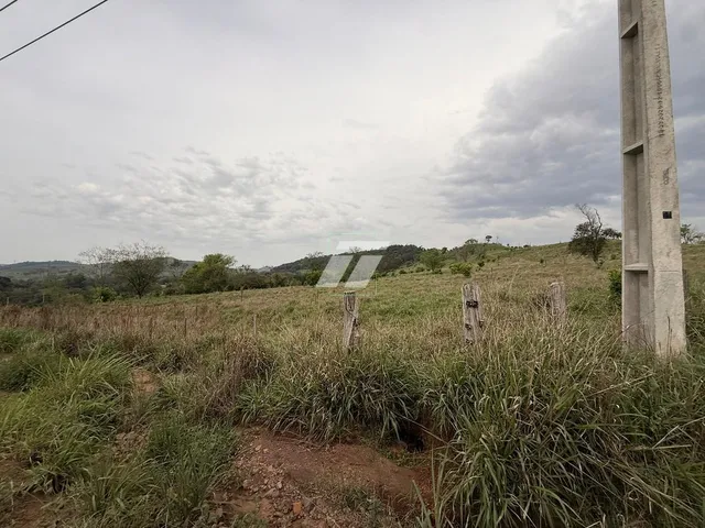 Imagem 16: Área rural de aproximadamente 65 Alqueires