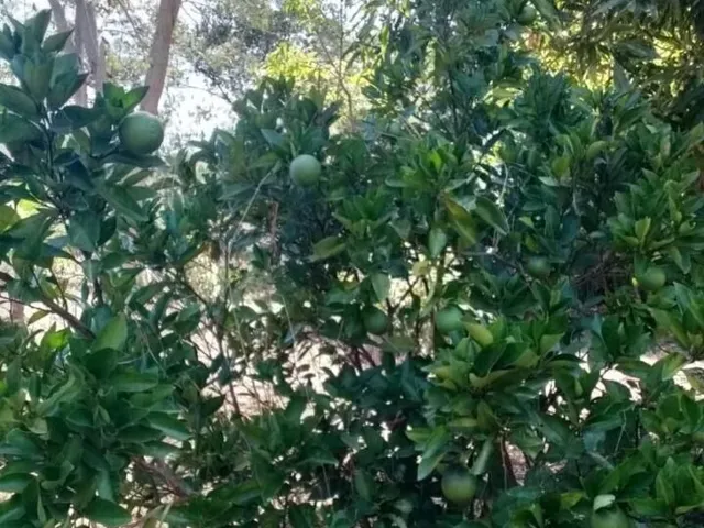 Imagem 10: Chácara Chácara em Encontro das Águas, Esmeraldas/Mg