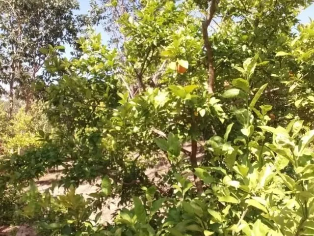 Imagem 5: Chácara Chácara em Encontro das Águas, Esmeraldas/Mg