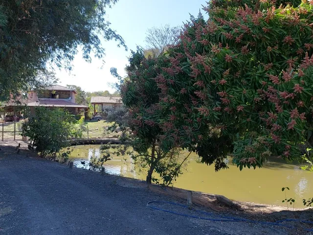 Imagem 15: Sítio em Andiroba (Andiroba), Esmeraldas/Mg