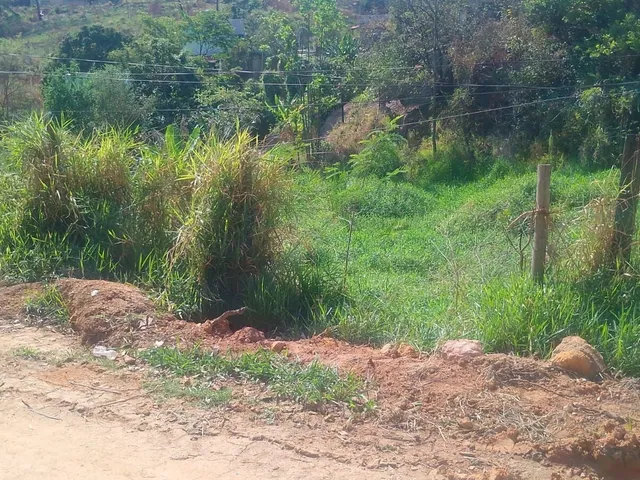 Imagem: Terreno Lote em Florença, Ribeirão das