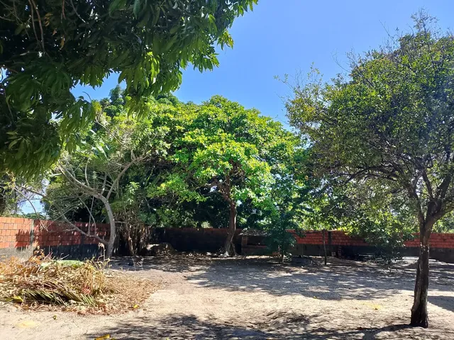 Imagem 11: Terreno/Sítio 1.500m² à Venda em Tanupaba, Caucaia – Próximo a Lagoa do Cauipe