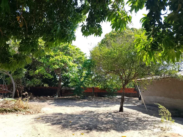 Imagem 6: Terreno/Sítio 1.500m² à Venda em Tanupaba, Caucaia – Próximo a Lagoa do Cauipe