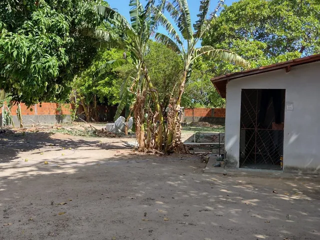 Imagem 7: Terreno/Sítio 1.500m² à Venda em Tanupaba, Caucaia – Próximo a Lagoa do Cauipe