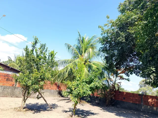 Imagem 4: Terreno/Sítio 1.500m² à Venda em Tanupaba, Caucaia – Próximo a Lagoa do Cauipe