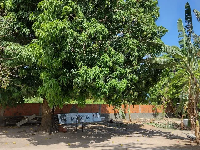 Imagem 9: Terreno/Sítio 1.500m² à Venda em Tanupaba, Caucaia – Próximo a Lagoa do Cauipe