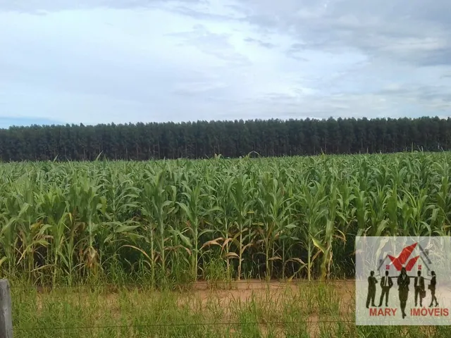 Imagem: Fazenda À Venda no Bairro Centro Sul