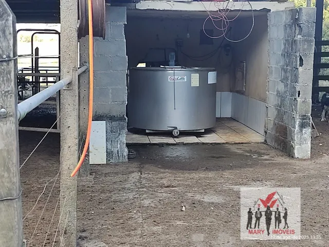 Imagem 16: Sítio À Venda no Bairro Laranjeiras de Caldas - Caldas/Mg