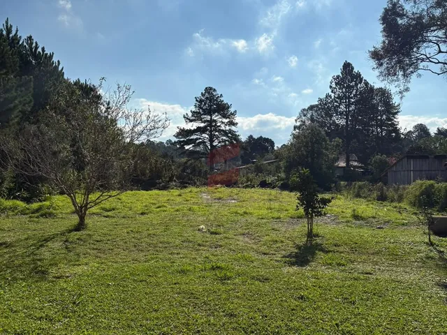 Imagem 8: TERRENO à venda com 2500m² por R$ 500.000,00 no bairro Centro - QUATRO BARRAS / PR