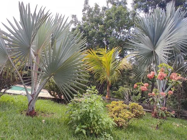 Imagem 12: Sitio para venda em condomínio fechado - Vera Cruz