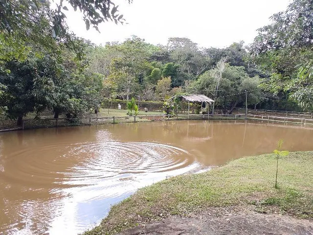 Imagem 14: Sitio para venda em condomínio fechado - Vera Cruz