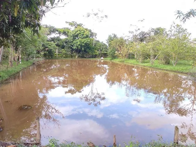 Imagem 3: Sitio para venda em condomínio fechado - Vera Cruz