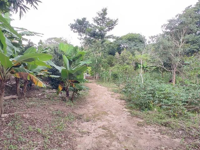Imagem 9: Sitio para venda em condomínio fechado - Vera Cruz
