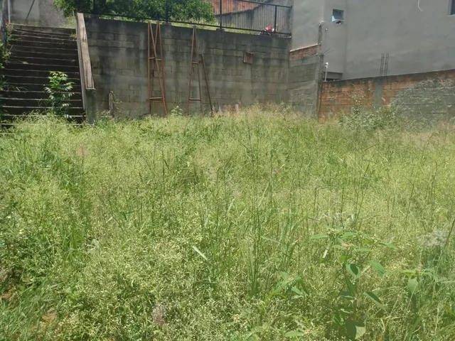 Imagem 13: Excelente oportunidade! Lote de 250 m² totalmente murado, oferecendo privacidade e