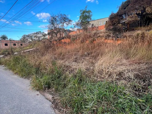 Imagem 2: Excelente lote com 250 m², ideal para quem deseja construir a casa dos sonhos ou