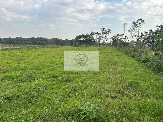 Imagem 8: Terreno de frente para Estrada da Ilha, com casa, rancho, imóvel todo plano