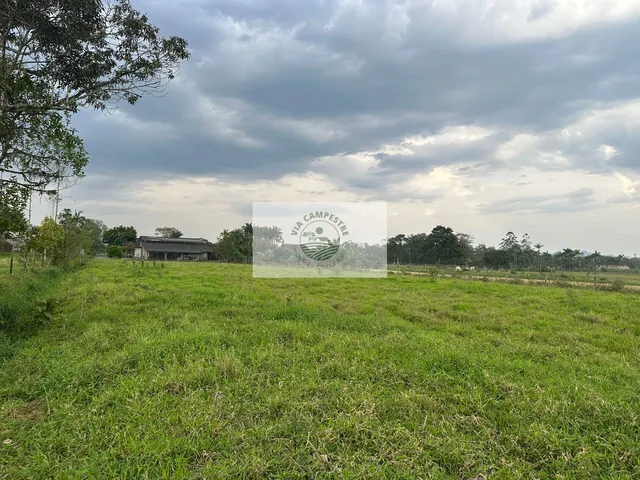 Imagem 12: Terreno de frente para Estrada da Ilha, com casa, rancho, imóvel todo plano
