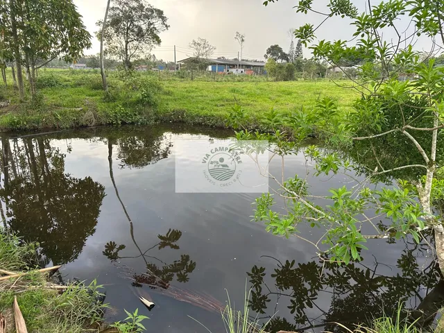 Imagem 5: Terreno de frente para Estrada da Ilha, com casa, rancho, imóvel todo plano