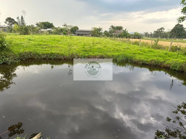 Imagem 16: Terreno de frente para Estrada da Ilha, com casa, rancho, imóvel todo plano