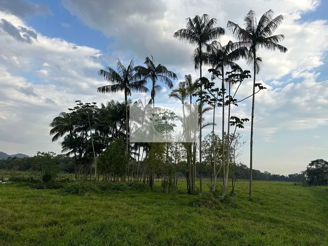 Imagem 7: Terreno de frente para Estrada da Ilha, com casa, rancho, imóvel todo plano