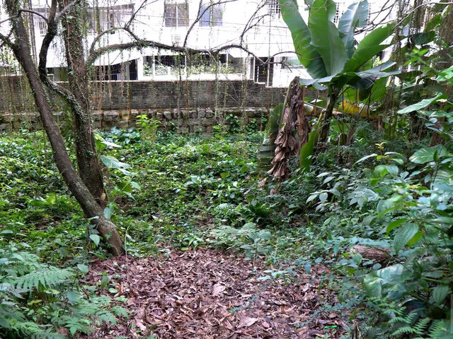 Imagem 14: Terreno a venda bairro coqueiros Florianópolis SC