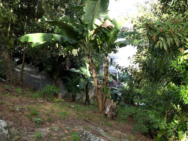 Imagem 3: Terreno a venda bairro coqueiros Florianópolis SC