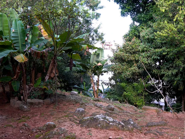 Imagem 16: Terreno a venda bairro coqueiros Florianópolis SC