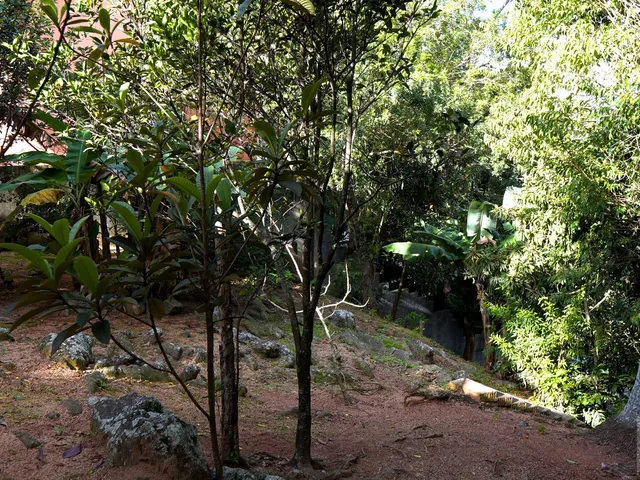Imagem 12: Terreno a venda bairro coqueiros Florianópolis SC