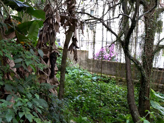 Imagem 2: Terreno a venda bairro coqueiros Florianópolis SC