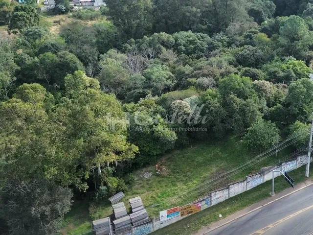 Imagem 4: Terreno à venda, no Bairro Jardim Carvalho, PONTA GROSSA - PR