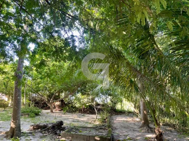Imagem 6: Maravilhosa casa duplex de alto padrão com 4 suítes no exclusivo Condomínio Busca