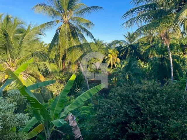 Imagem 7: Maravilhosa casa duplex de alto padrão com 4 suítes no exclusivo Condomínio Busca
