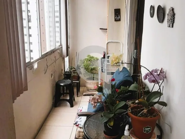 Imagem: Amplo 3/4 com suíte, nascente, garagem