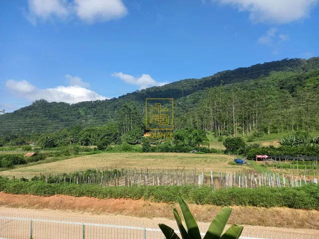 Imagem: Terreno Amplo para Investimento