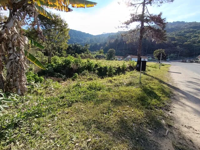 Imagem 2: Terreno em Benedito Novo