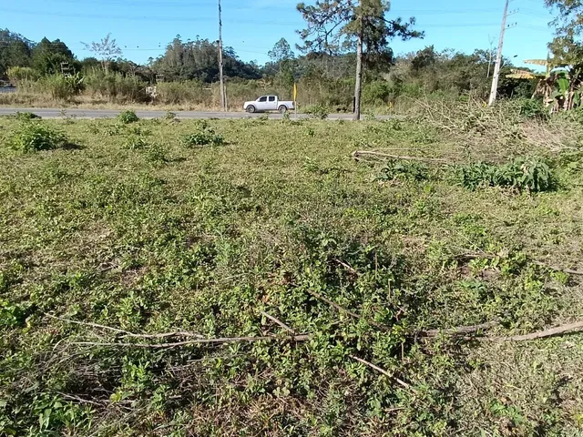 Imagem 3: Terreno em Benedito Novo