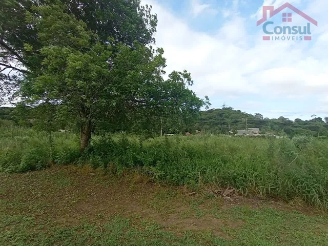 Imagem: Terreno 5000M2 - Fazendinha - Miqueleto!