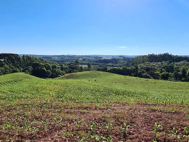 Imagem: Área 08 - 20.639M² - Formação de Chácara