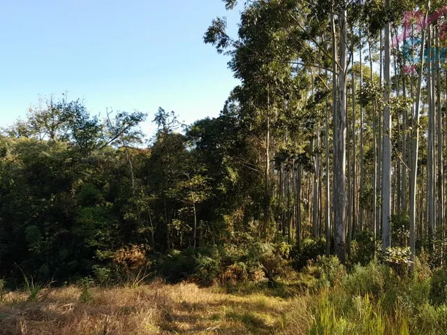 Imagem: Área Rural com 10 Alqueires no 3 Córregos!