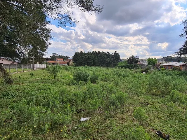Imagem 10: Área Industrial - Região Central - Campo Largo - Pr