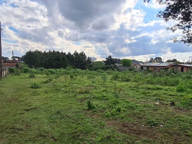 Imagem 11: Área Industrial - Região Central - Campo Largo - Pr