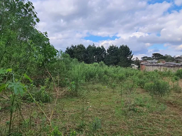Imagem 16: Área Industrial - Região Central - Campo Largo - Pr