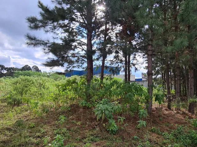 Imagem 6: Área Industrial - Região Central - Campo Largo - Pr