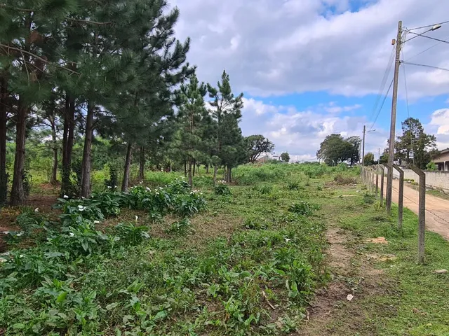 Imagem 9: Área Industrial - Região Central - Campo Largo - Pr