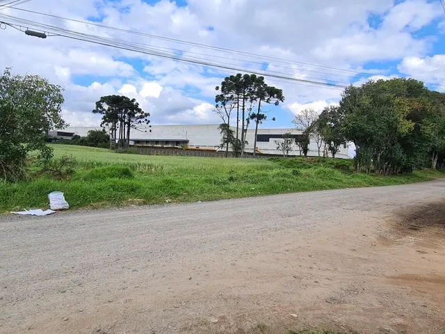 Imagem 5: Área Industrial - Região Central - Campo Largo - Pr