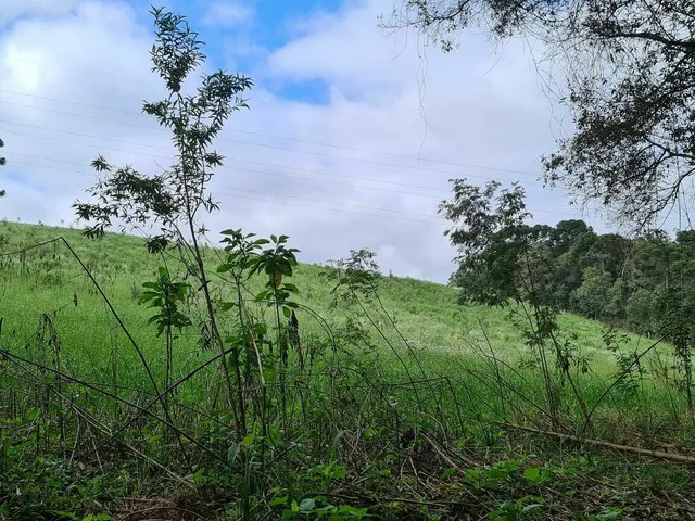 Imagem: Área Rural C -20.012M² - Chácara para