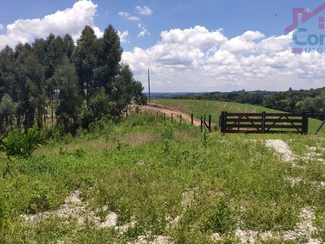 Imagem: Chácara - Àrea Rural B - Rodeio Santo