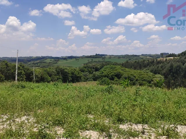 Imagem 2: Chácara - Àrea Rural B - Rodeio Santo Antonio