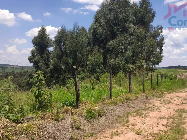 Imagem 6: Chácara - Àrea Rural B - Rodeio Santo Antonio